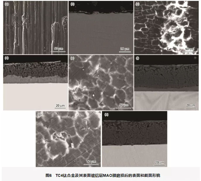 鈦合金及鈦合金鍍鋁層MAO不同時(shí)間的膜層與WC-Co球?qū)δズ蟮谋砻婧徒孛嫘蚊? alt=