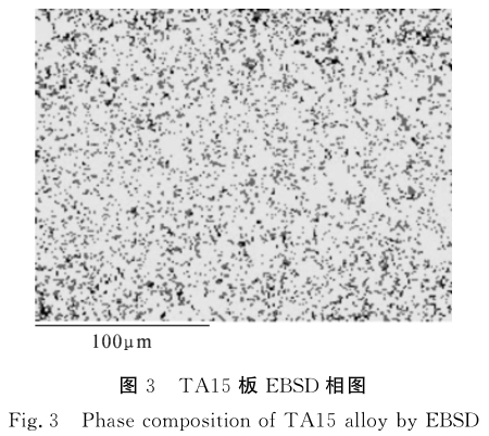 1635581614903410.jpg 3.jpg