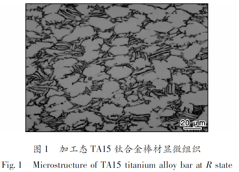 1660485205121406.jpg t1.jpg