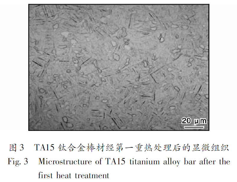 1660485231320302.jpg t3.jpg