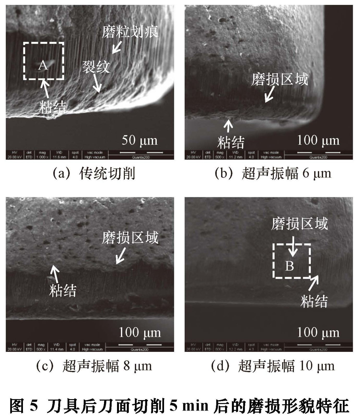 1681033873642115.jpg t5.jpg