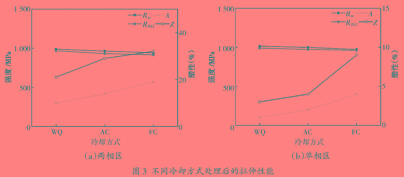 1681045602282475.jpg t3.jpg