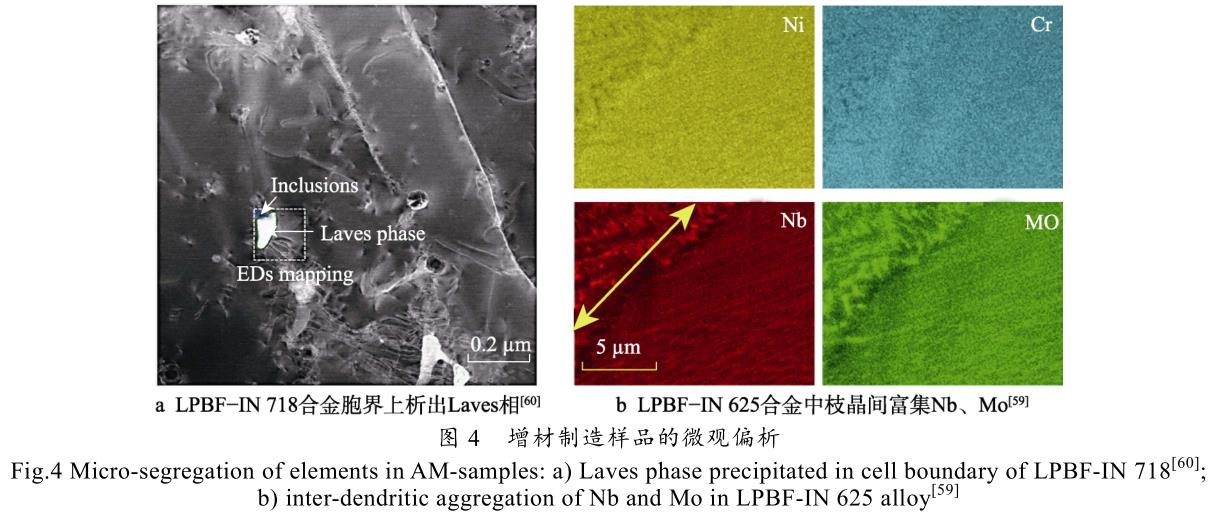 1699483640619062.jpg t4.jpg