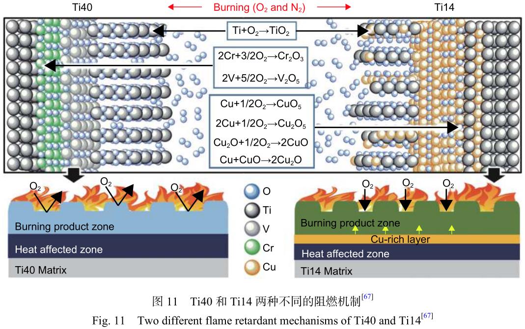 1699618376798126.jpg t11.jpg