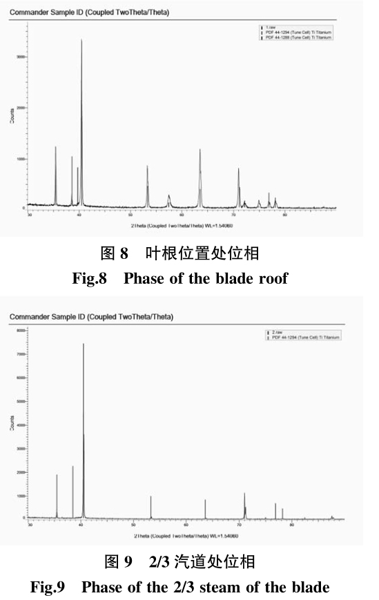 1700692036181693.jpg t8-9.jpg