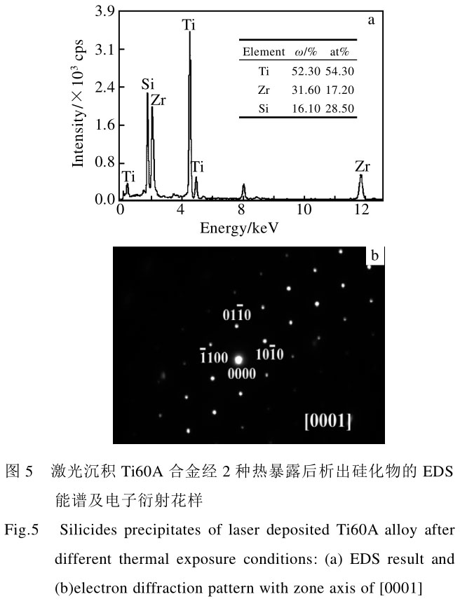 1708439158785389.jpg t5.jpg