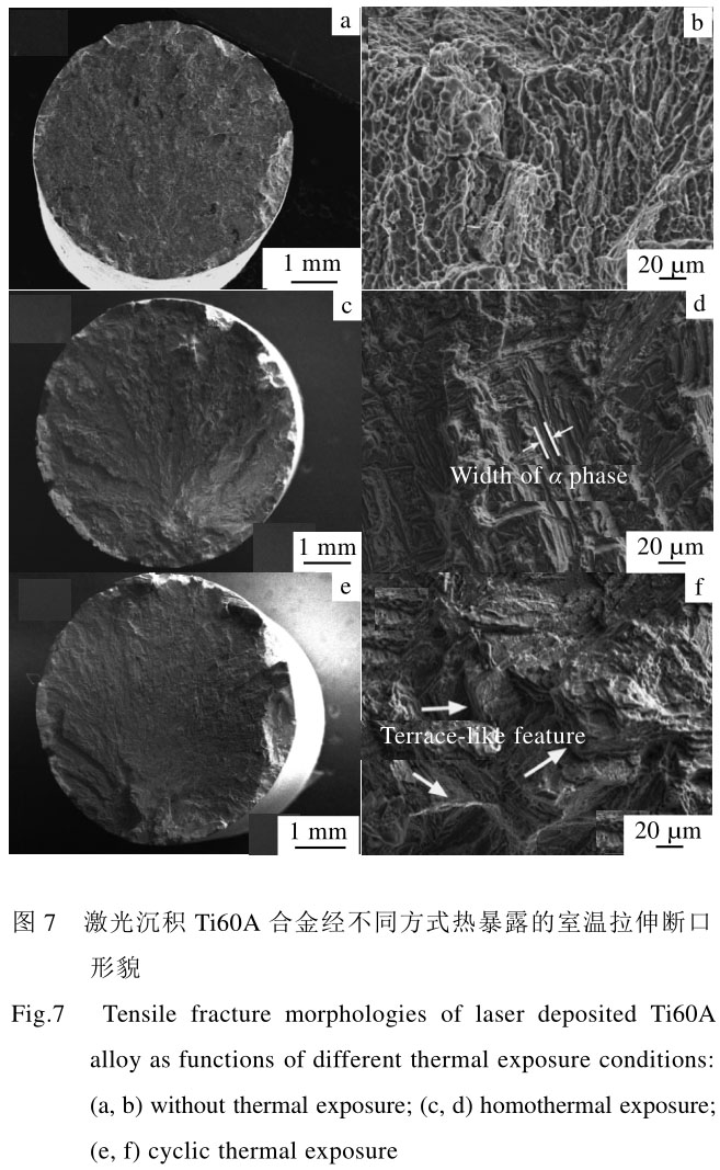 1708439175270365.jpg t7.jpg