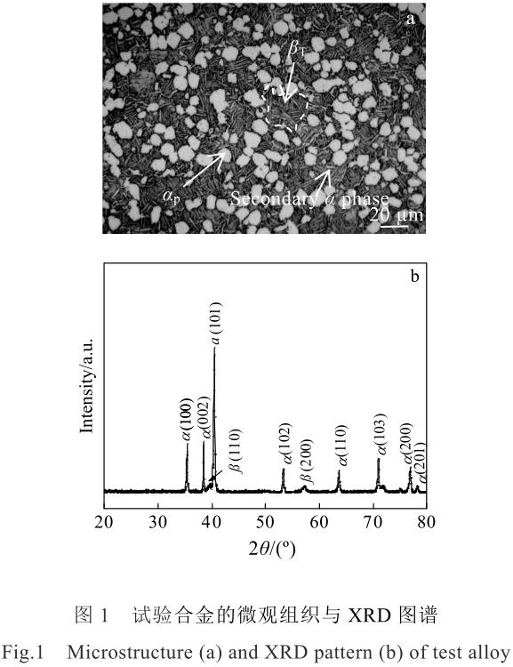 1708444108389690.jpg t1.jpg