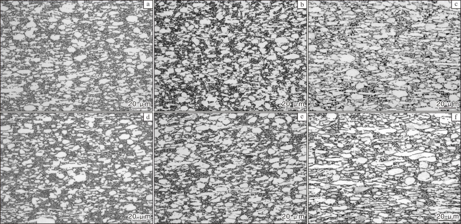 1709631395143367.jpg t1.jpg