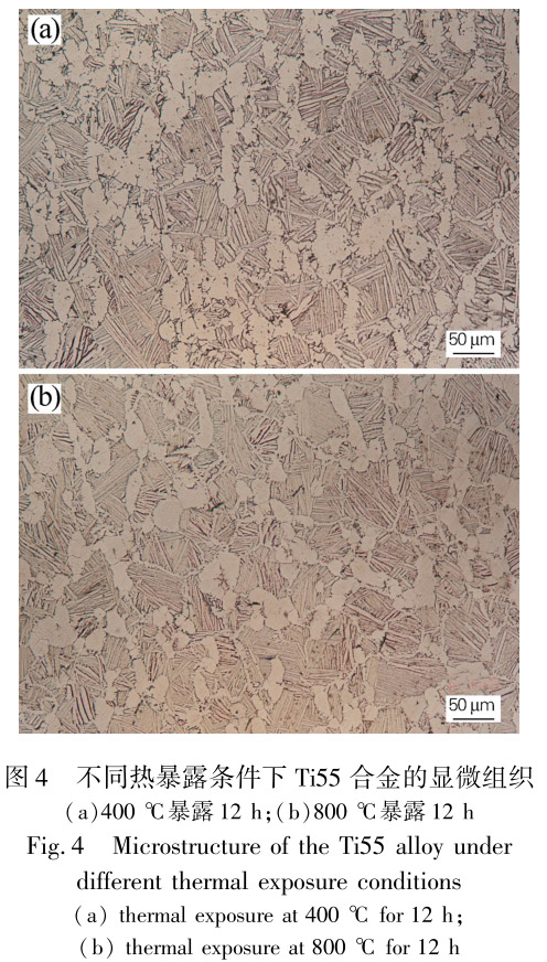 1713441102571078.jpg 未標(biāo)題-4.jpg