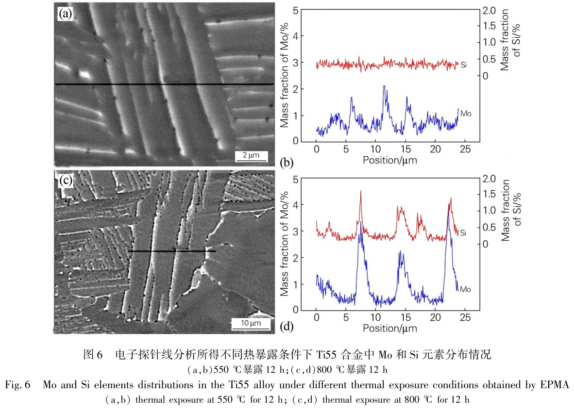 1713441120480866.jpg 未標(biāo)題-6.jpg