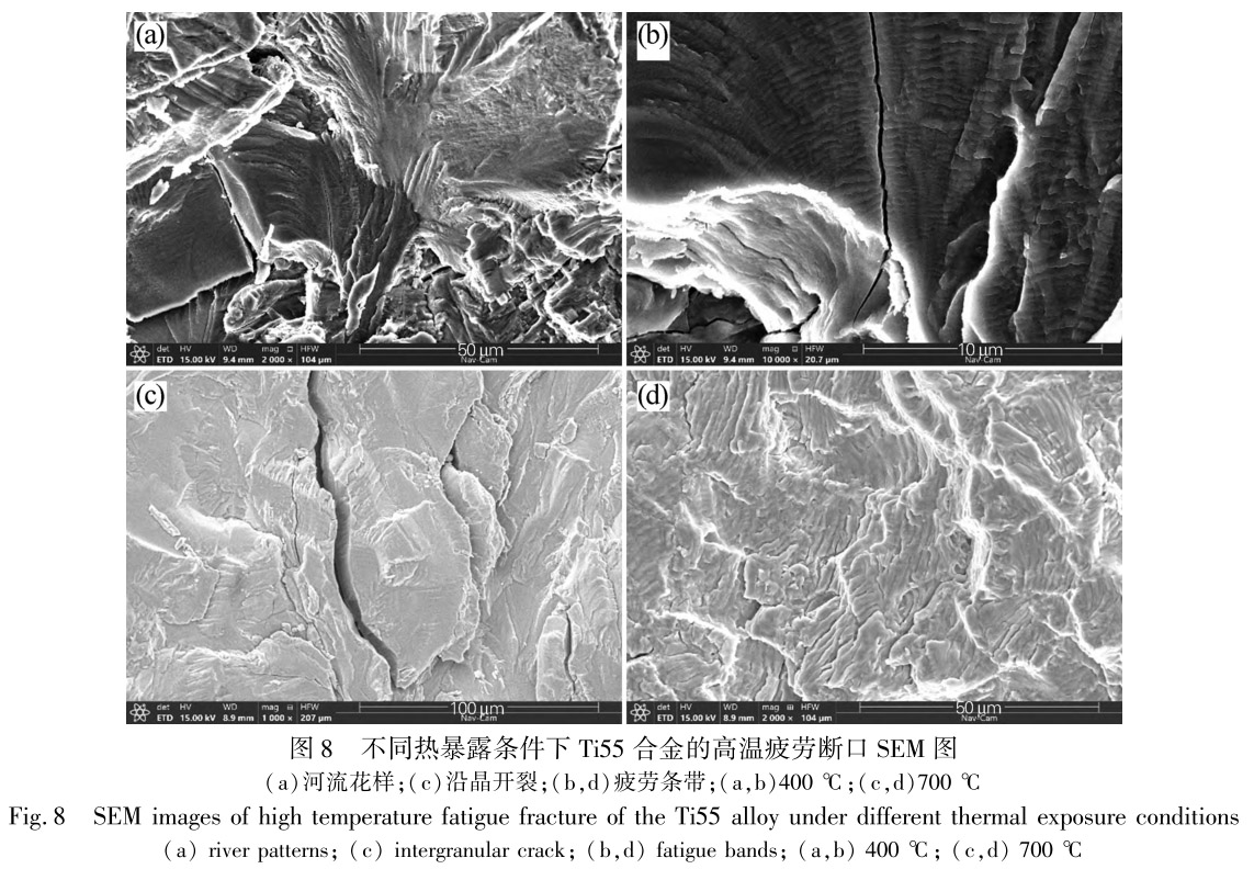 1713441137932576.jpg 未標(biāo)題-8.jpg