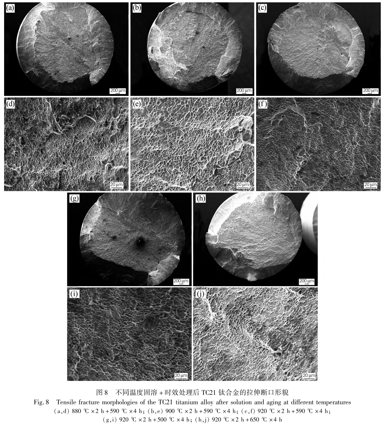 1715503075887455.jpg t8.jpg