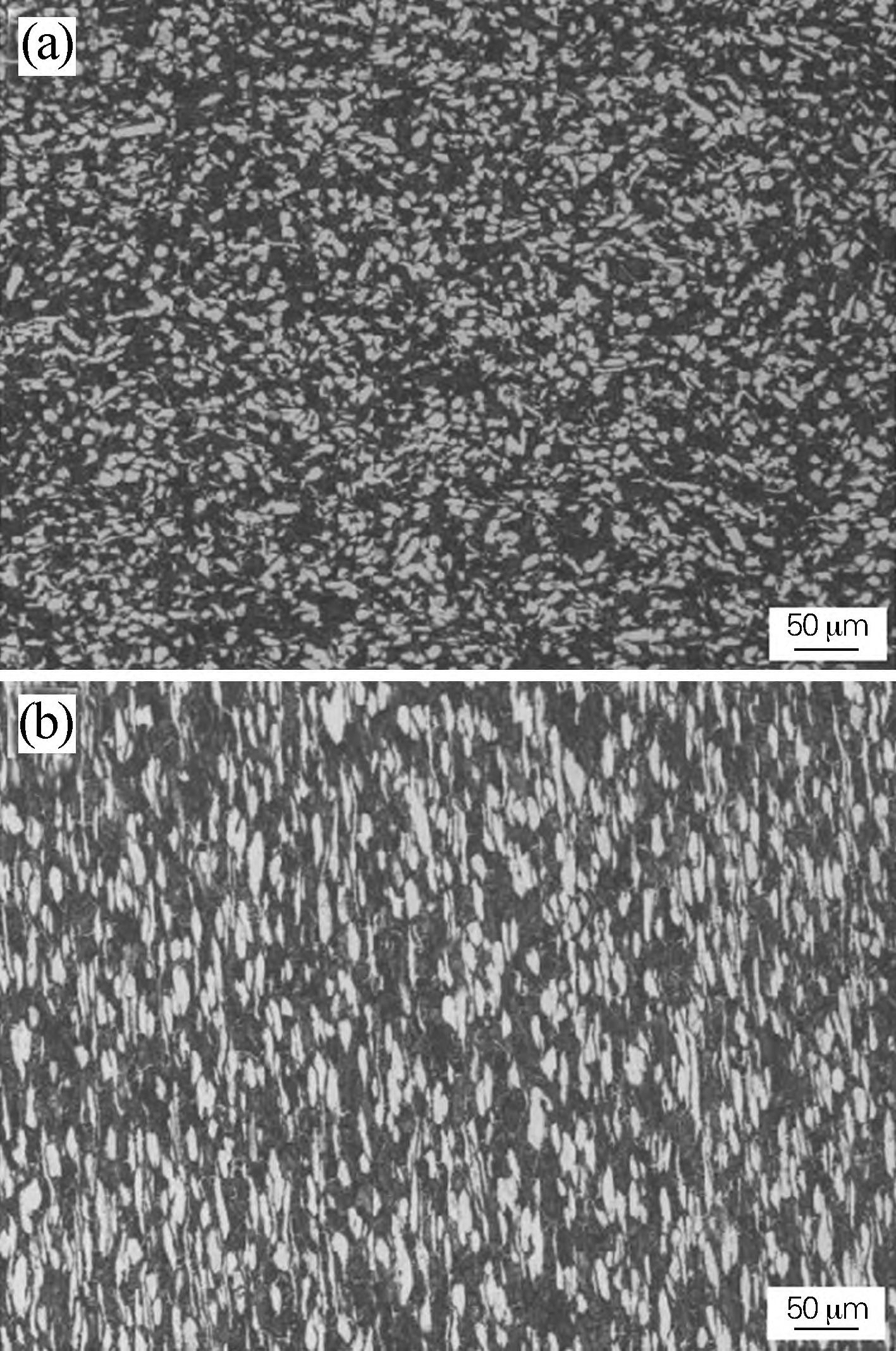 1716174874104188.jpg 1.jpg