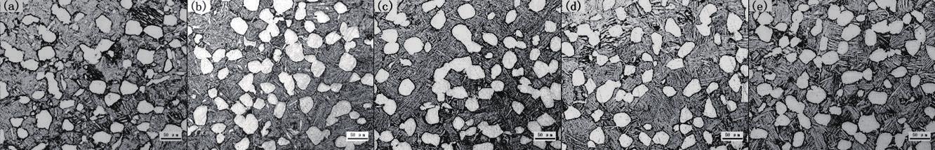 1720150622617740.jpg 2.jpg