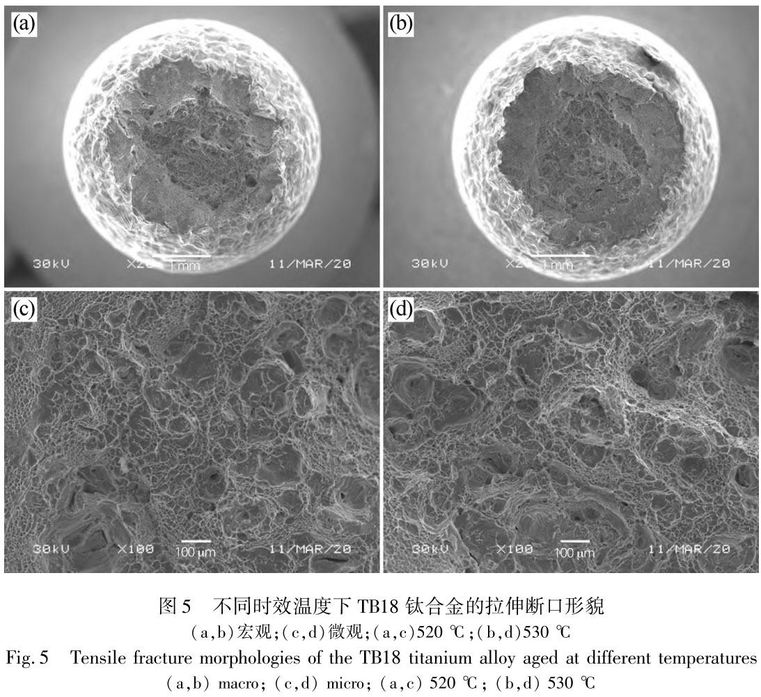 1721009937595628.jpg t5.jpg