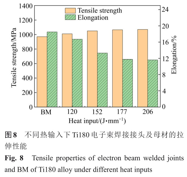 1723728926545381.jpg t8.jpg