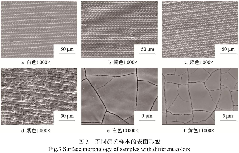 1723731040209730.jpg t3.jpg